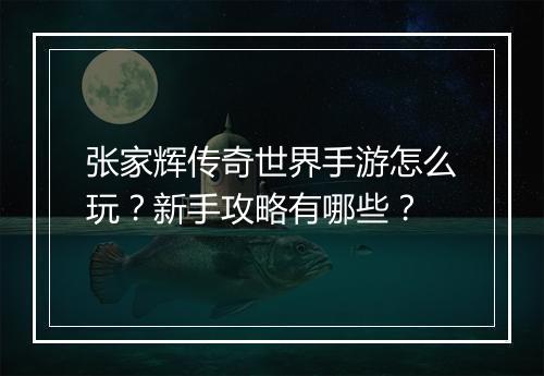 张家辉传奇世界手游怎么玩？新手攻略有哪些？