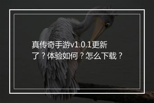 真传奇手游v1.0.1更新了？体验如何？怎么下载？