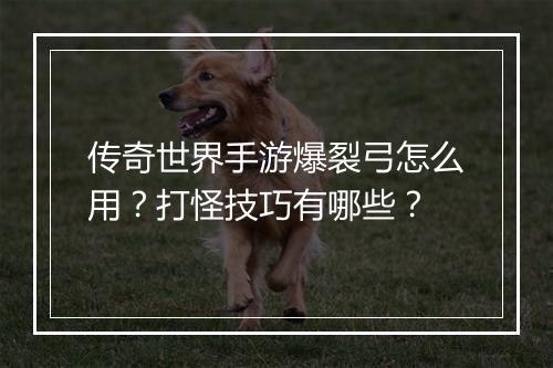 传奇世界手游爆裂弓怎么用？打怪技巧有哪些？