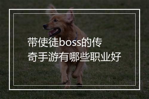 带使徒boss的传奇手游有哪些职业好