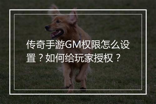传奇手游GM权限怎么设置？如何给玩家授权？