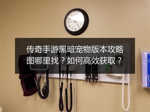 传奇手游黑暗宠物版本攻略图哪里找？如何高效获取？