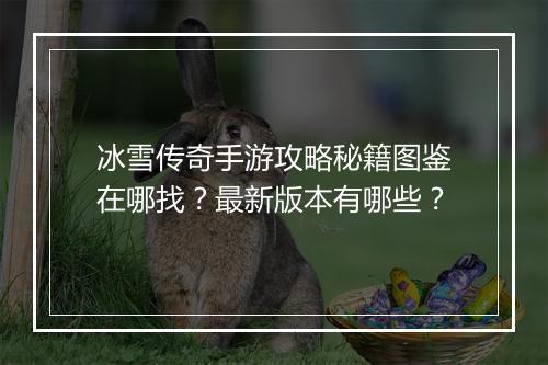 冰雪传奇手游攻略秘籍图鉴在哪找？最新版本有哪些？