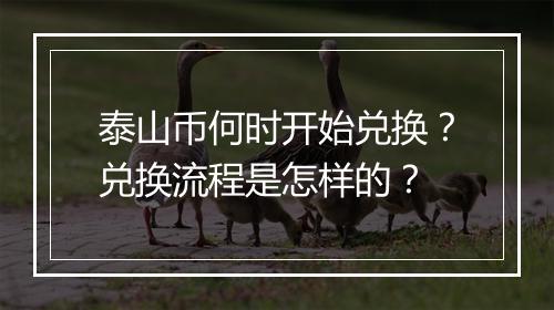 泰山币何时开始兑换？兑换流程是怎样的？