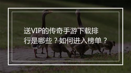 送VIP的传奇手游下载排行是哪些？如何进入榜单？