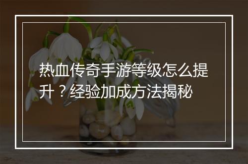 热血传奇手游等级怎么提升？经验加成方法揭秘