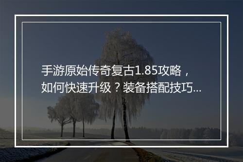 手游原始传奇复古1.85攻略，如何快速升级？装备搭配技巧揭秘？