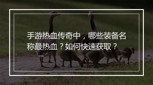 手游热血传奇中，哪些装备名称最热血？如何快速获取？