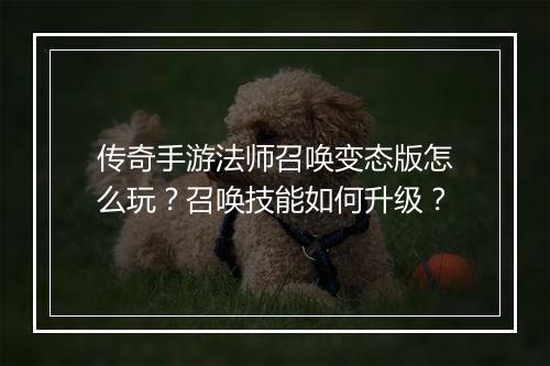 传奇手游法师召唤变态版怎么玩？召唤技能如何升级？