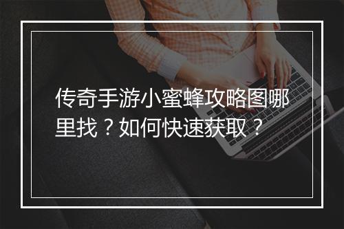 传奇手游小蜜蜂攻略图哪里找？如何快速获取？