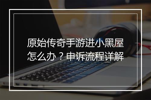 原始传奇手游进小黑屋怎么办？申诉流程详解