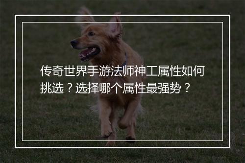 传奇世界手游法师神工属性如何挑选？选择哪个属性最强势？