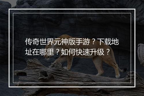 传奇世界元神版手游？下载地址在哪里？如何快速升级？