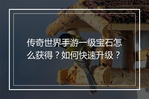 传奇世界手游一级宝石怎么获得？如何快速升级？