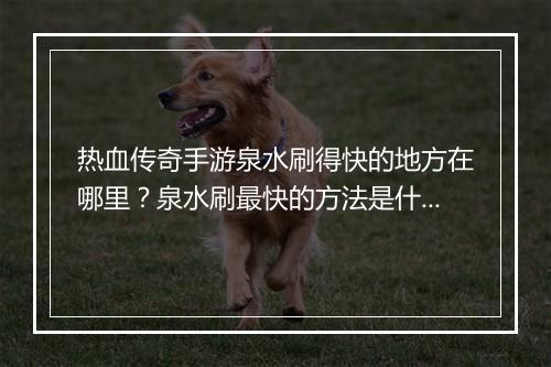 热血传奇手游泉水刷得快的地方在哪里？泉水刷最快的方法是什么？