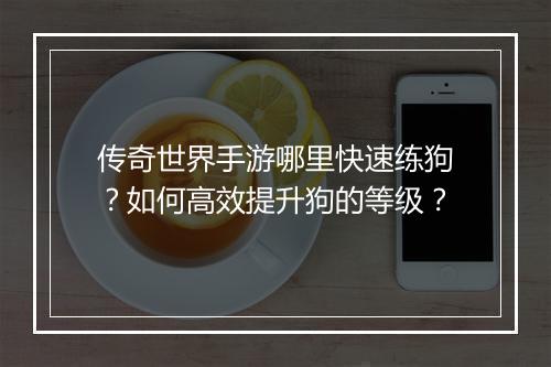 传奇世界手游哪里快速练狗？如何高效提升狗的等级？