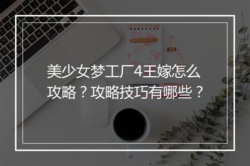 美少女梦工厂4王嫁怎么攻略？攻略技巧有哪些？