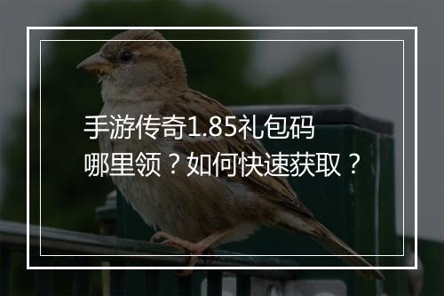 手游传奇1.85礼包码哪里领？如何快速获取？
