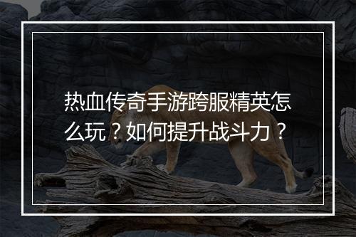 热血传奇手游跨服精英怎么玩？如何提升战斗力？