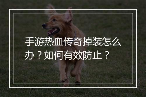 手游热血传奇掉装怎么办？如何有效防止？