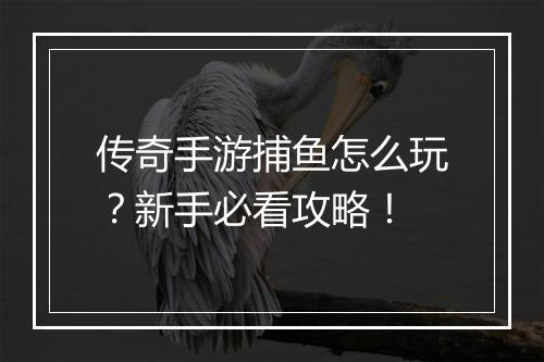 传奇手游捕鱼怎么玩？新手必看攻略！