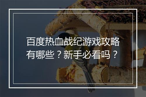 百度热血战纪游戏攻略有哪些？新手必看吗？