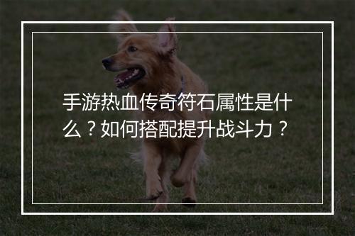 手游热血传奇符石属性是什么？如何搭配提升战斗力？