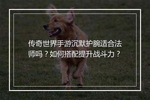 传奇世界手游沉默护腕适合法师吗？如何搭配提升战斗力？