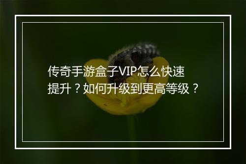 传奇手游盒子VIP怎么快速提升？如何升级到更高等级？
