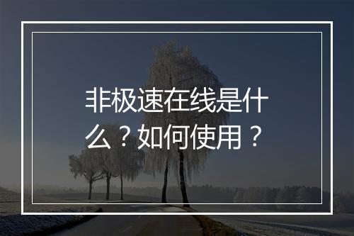 非极速在线是什么？如何使用？