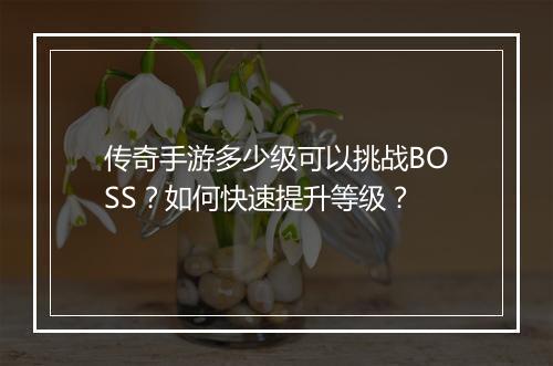 传奇手游多少级可以挑战BOSS？如何快速提升等级？