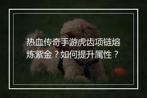 热血传奇手游虎齿项链熔炼紫金？如何提升属性？