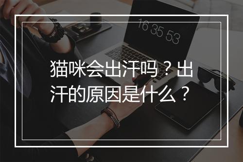 猫咪会出汗吗？出汗的原因是什么？