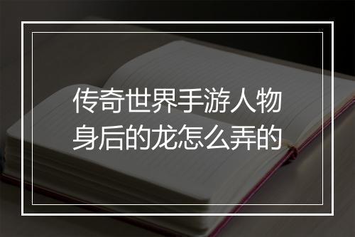 传奇世界手游人物身后的龙怎么弄的