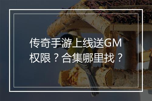 传奇手游上线送GM权限？合集哪里找？