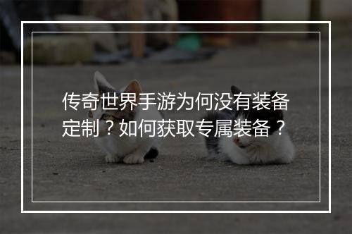 传奇世界手游为何没有装备定制？如何获取专属装备？