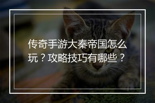 传奇手游大秦帝国怎么玩？攻略技巧有哪些？