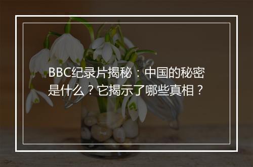 BBC纪录片揭秘：中国的秘密是什么？它揭示了哪些真相？