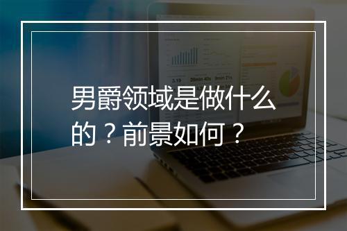 男爵领域是做什么的？前景如何？