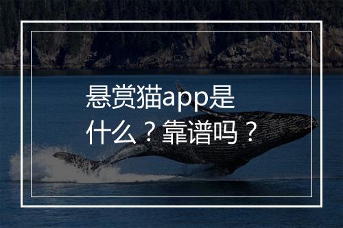 悬赏猫app是什么？靠谱吗？