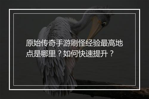 原始传奇手游刷怪经验最高地点是哪里？如何快速提升？