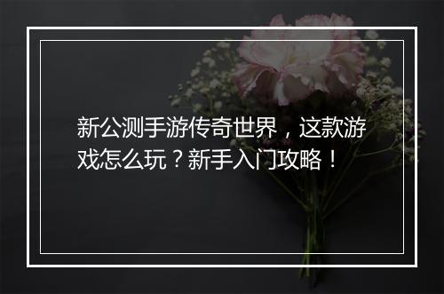 新公测手游传奇世界，这款游戏怎么玩？新手入门攻略！