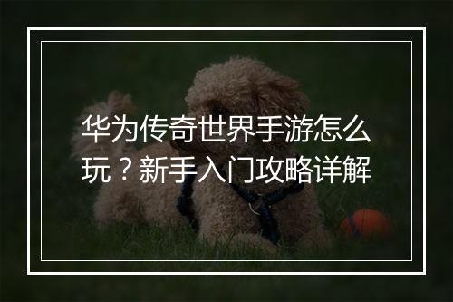 华为传奇世界手游怎么玩？新手入门攻略详解