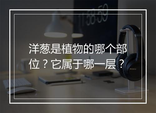 洋葱是植物的哪个部位？它属于哪一层？