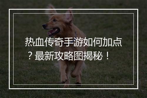 热血传奇手游如何加点？最新攻略图揭秘！