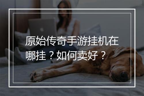 原始传奇手游挂机在哪挂？如何卖好？