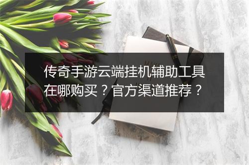 传奇手游云端挂机辅助工具在哪购买？官方渠道推荐？
