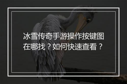 冰雪传奇手游操作按键图在哪找？如何快速查看？