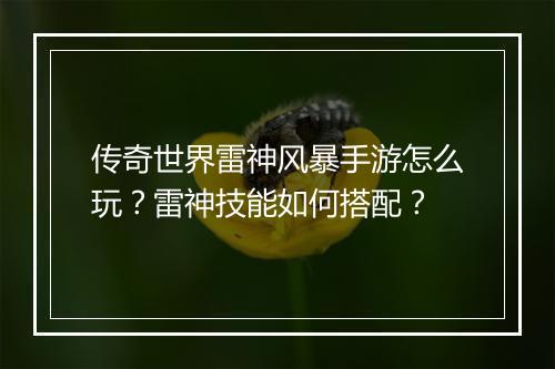 传奇世界雷神风暴手游怎么玩？雷神技能如何搭配？