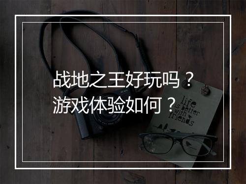 战地之王好玩吗？游戏体验如何？
